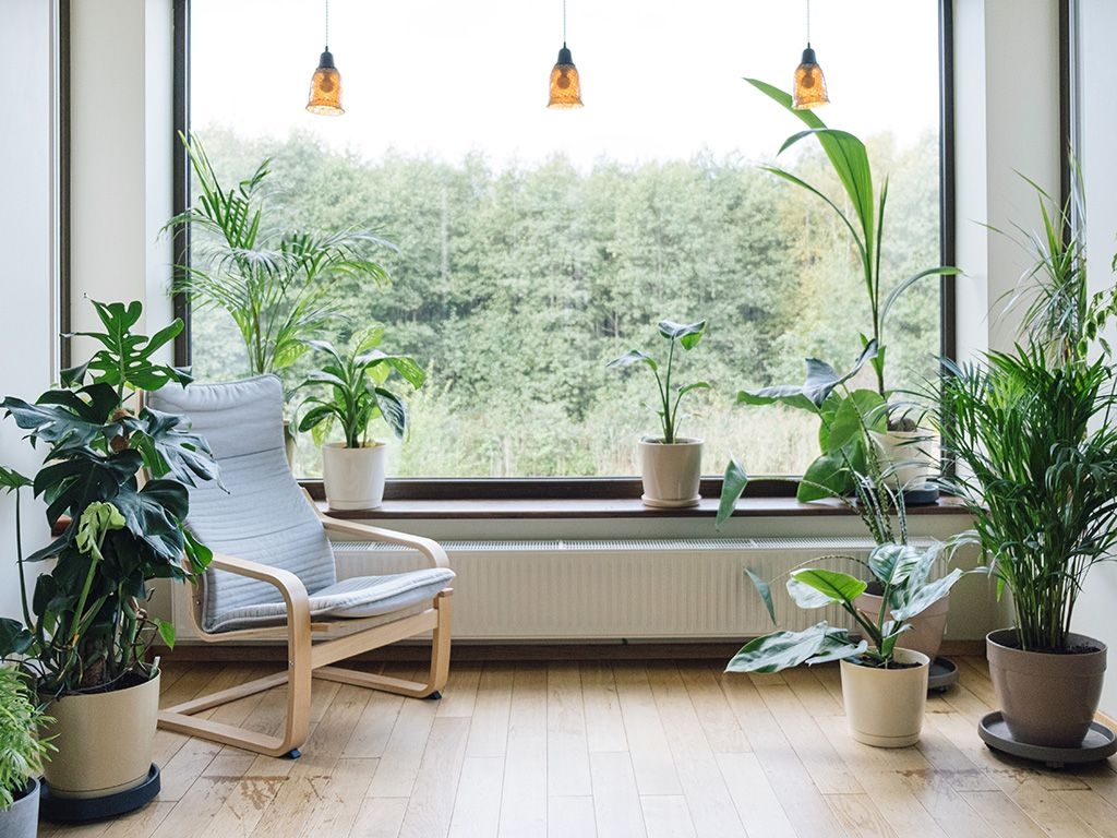 Biophilic Design for Sustainability