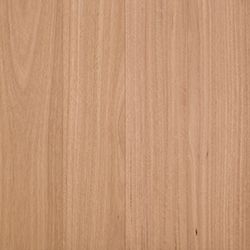 Brushed Blackbutt 12mm