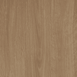 Sienna Spotted Gum