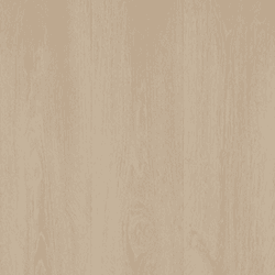 White Elm