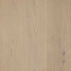 Tawny Grey
