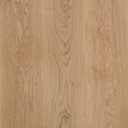 European Oak