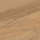 TIM37