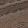 TIM81