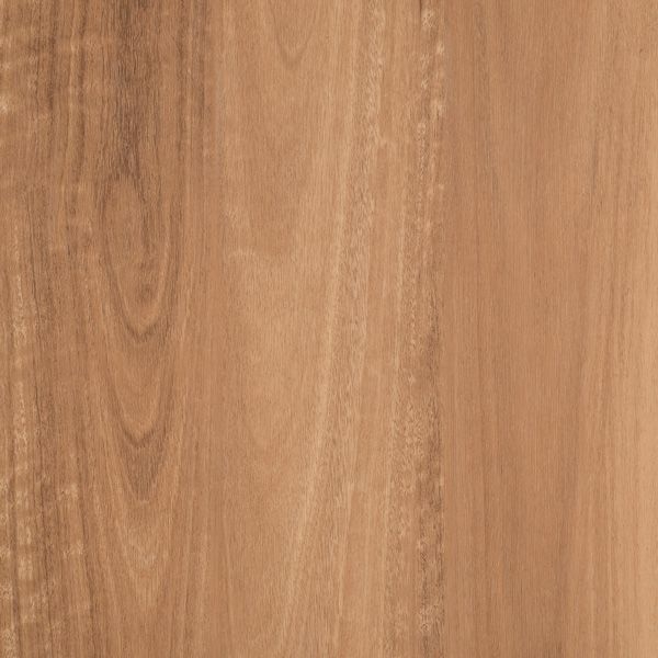Winton Spotted Gum