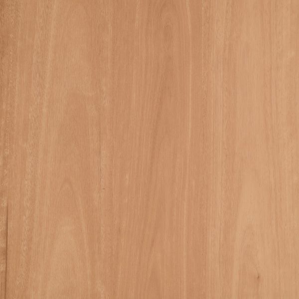 Argyle Blackbutt
