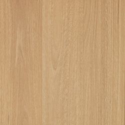 Mawson Blackbutt