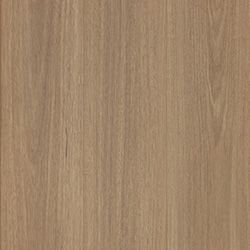 Snowy Spotted Gum