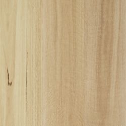 Blackbutt