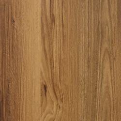 Feathertop Spotted Gum