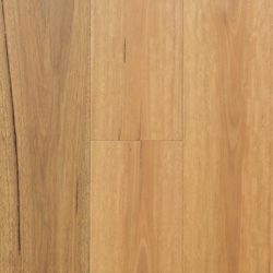 Spotted Gum 189mm