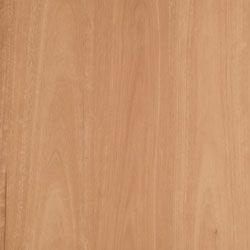 Oberon Blackbutt