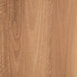 Avoca Spotted Gum